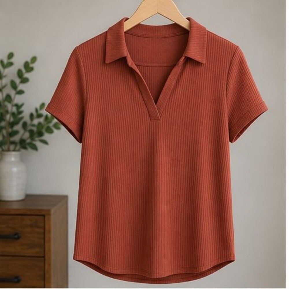 Rust V Neck Top